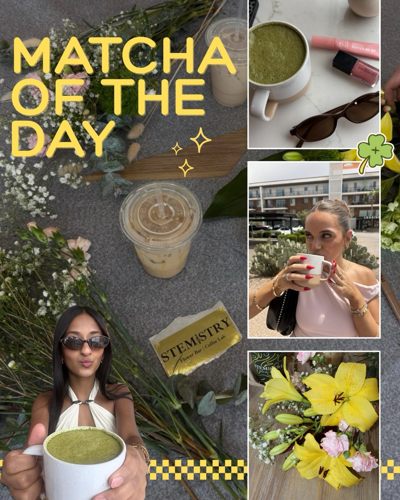 Matcha of the day collage from the Stemistry feed